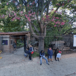 Escuelas de la Comuna 9 premiadas por sus proyectos educativos ambientales