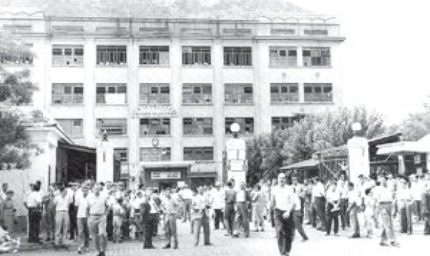 frigorifico f 1.jpg