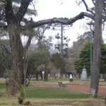 https://aquimataderosonline.com.ar/wp-content/uploads/2020/09/c-users-liliana-desktop-revista-y-radio-administr-1-732x380.jpeg