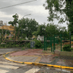 Árboles y ramas caídos, postes en riesgo, por la tormenta que asoló a la Ciudad