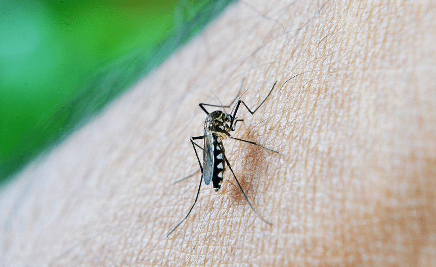 Unidades de atención febriles para dengue en Hospitales Públicos