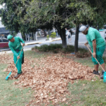 Mantenimiento Integral de Espacios Verdes en la Comuna 9