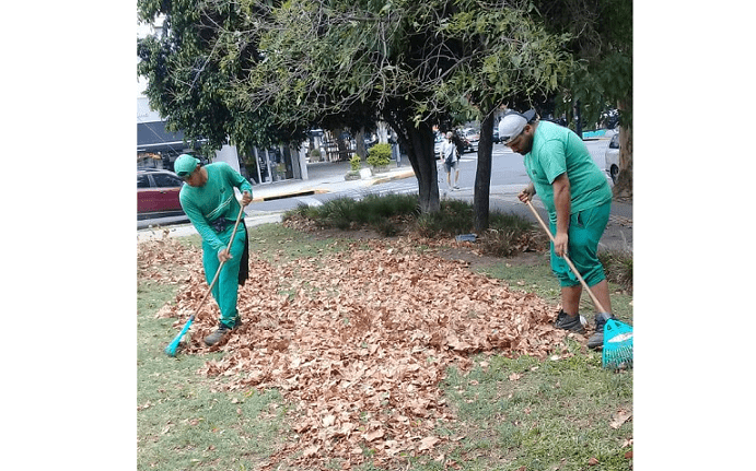 Mantenimiento Integral de Espacios Verdes en la Comuna 9