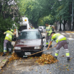 Intervenciones de higiene urbana y emergencias en la Comuna 9