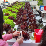 Innovación, tecnología y aprendizaje en contacto con la naturaleza