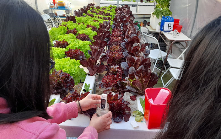 Innovación, tecnología y aprendizaje en contacto con la naturaleza