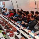 La Escuela Paula Albarracín de Sarmiento en la Semana del árbol