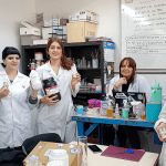 Hidroponia en la escuela: proyecto educativo y acción ambiental