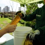 La Ciudad recibe aceite de cocina usado en los Puntos Verdes